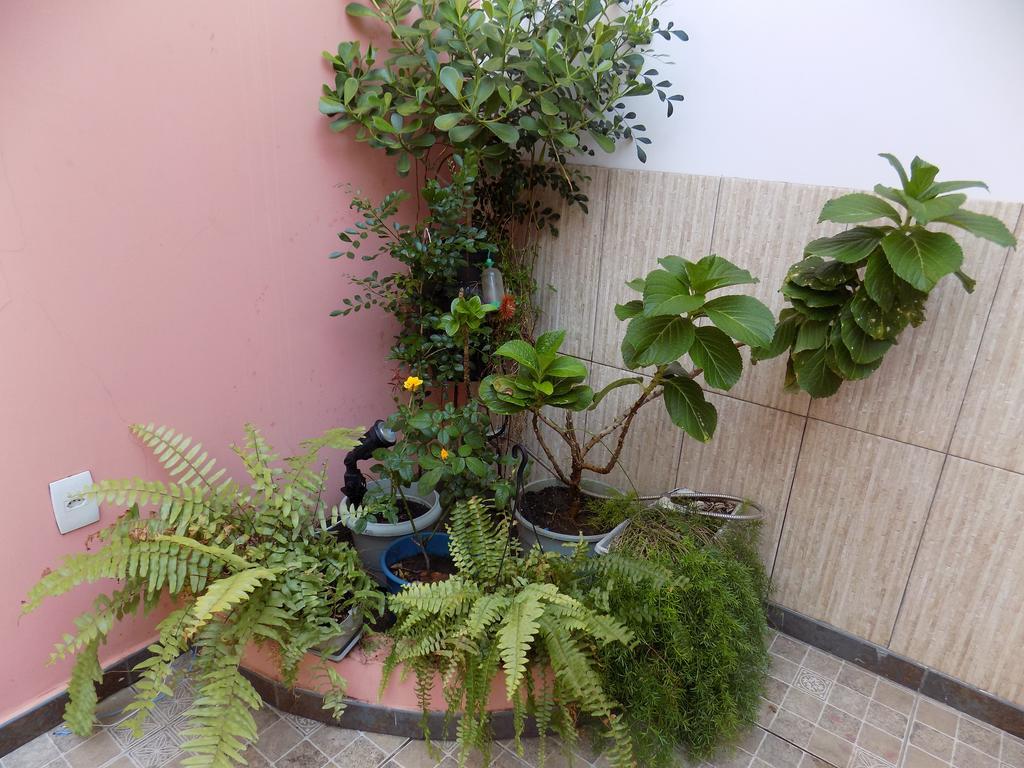 סלבאדור Albergue Rio Vermelho מראה חיצוני תמונה